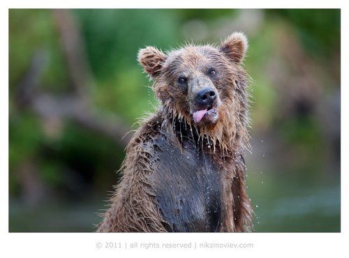 Как же я устаааааал!