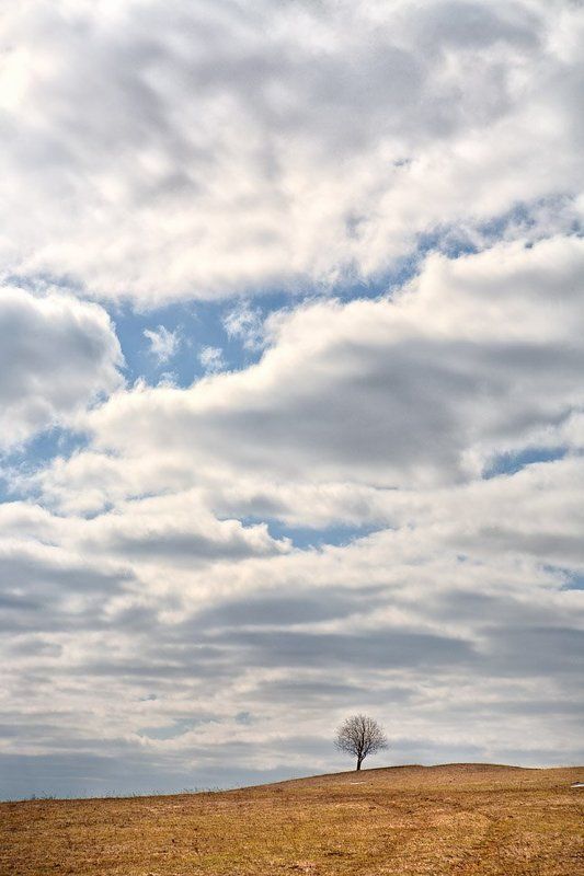 один, в, поле... Один в поле... фото превью