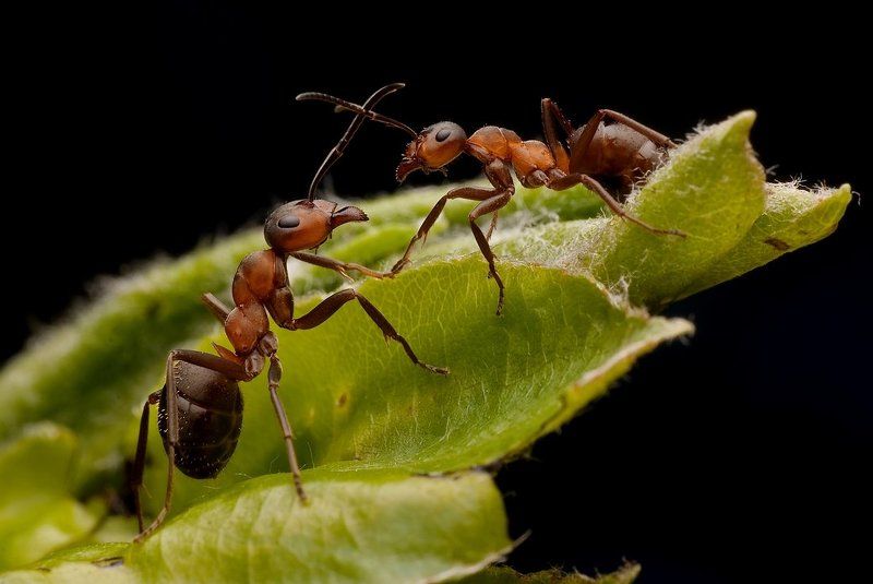 cześć !co słychać? фото превью