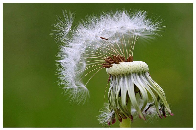 Я отлетаю a Вы? фото превью