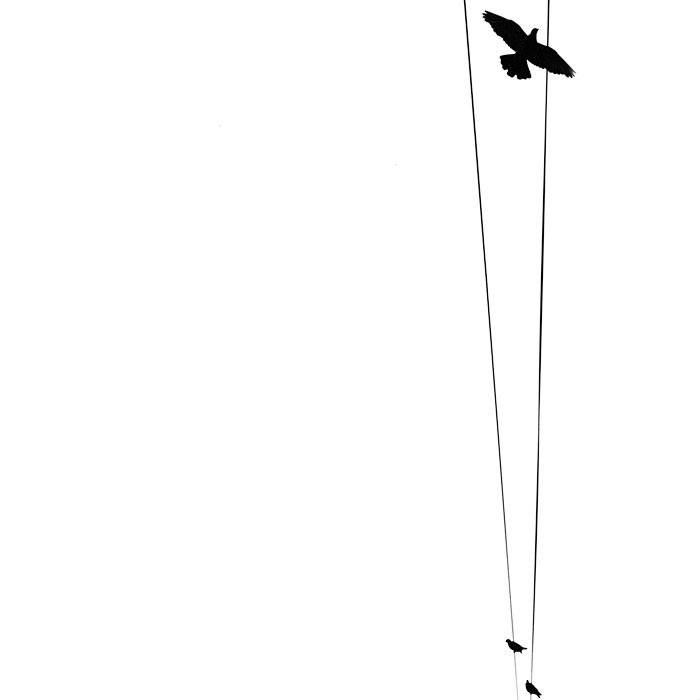 , Александр Савельев