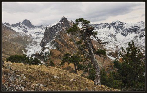 Говорящие с ветром...
