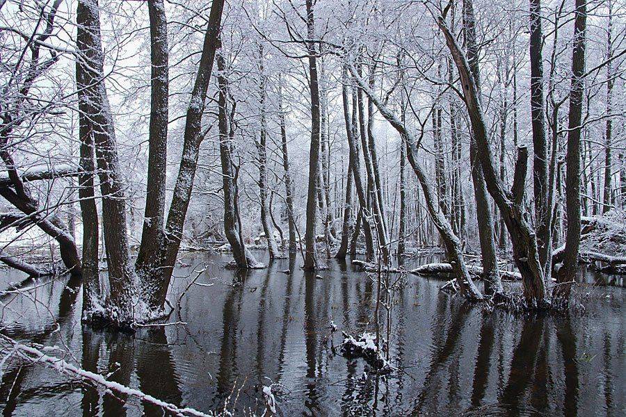 , Валерий Кондратов