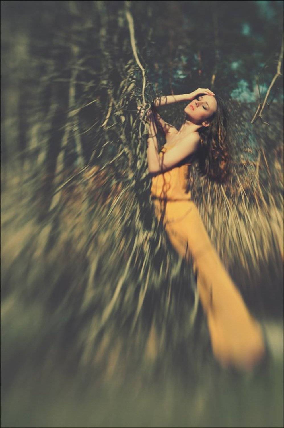 сон, ..., Александр Ростов