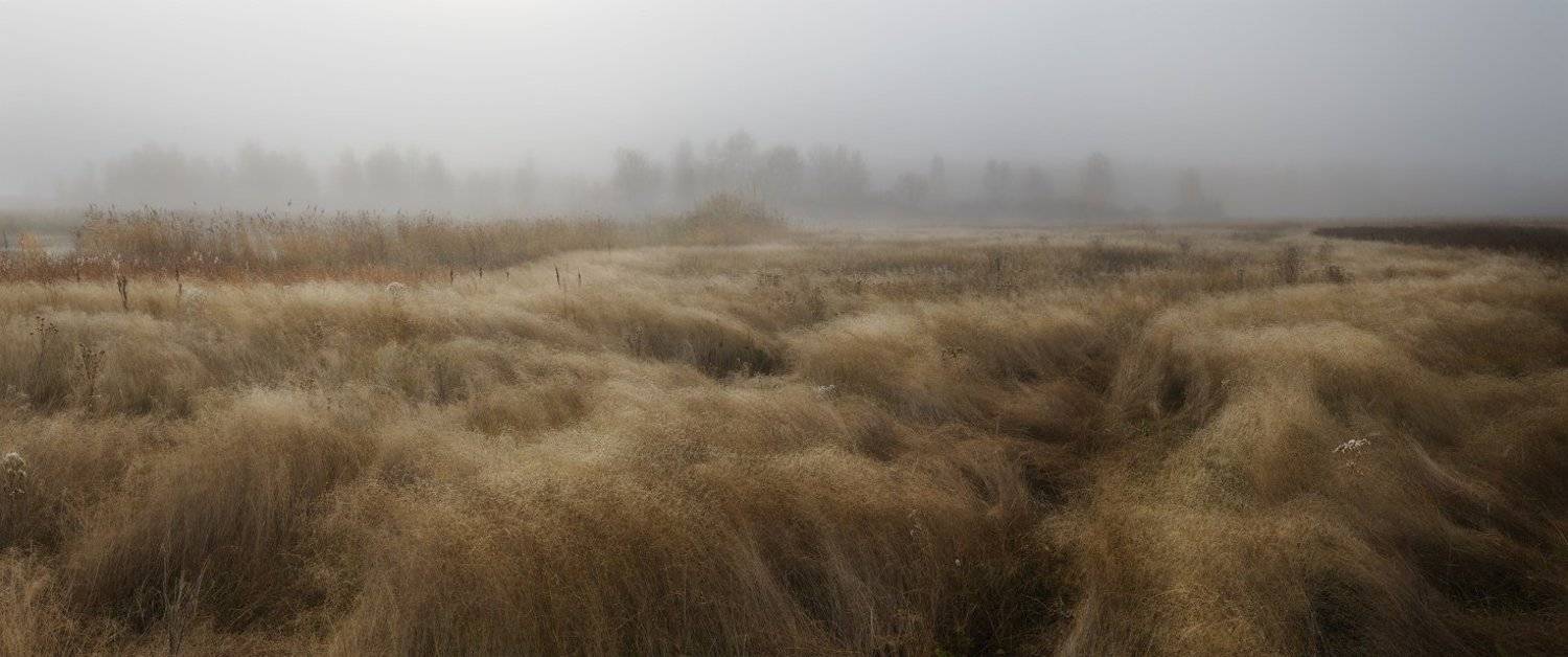 осень, трава, Евгений Мартов