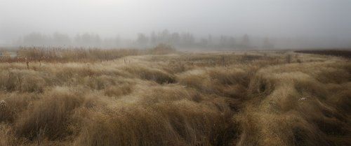 травы осени
