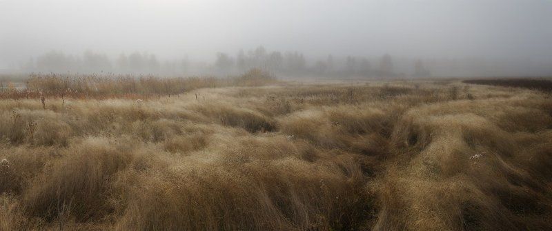 осень, трава травы осени фото превью