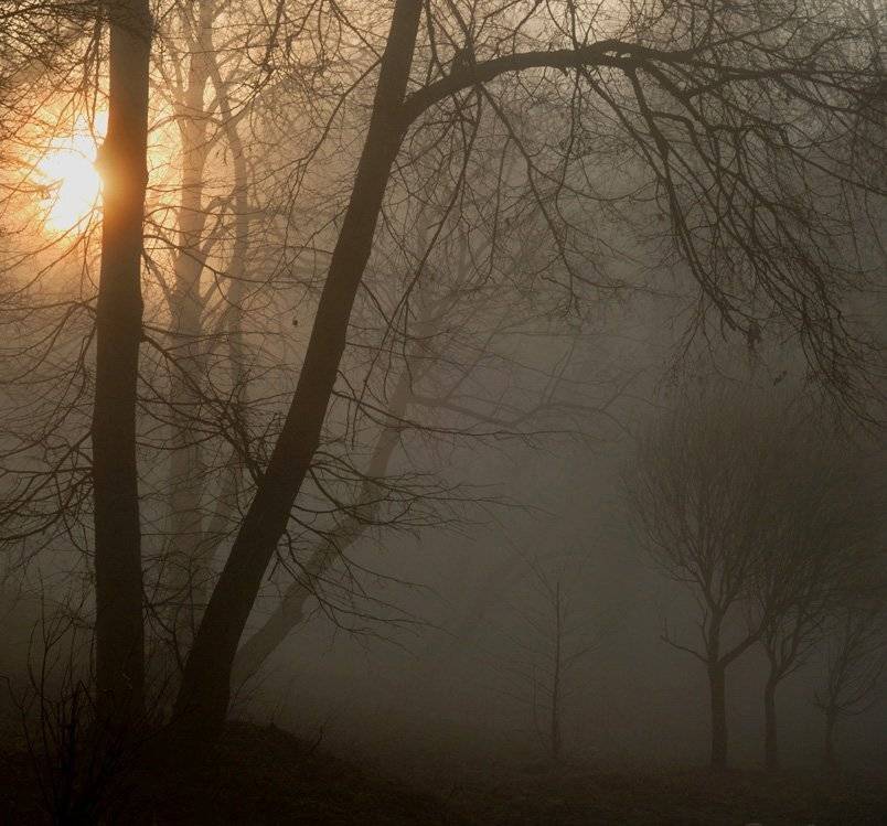 , Александр