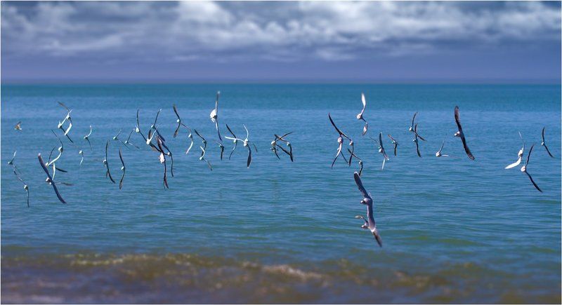 фото превью