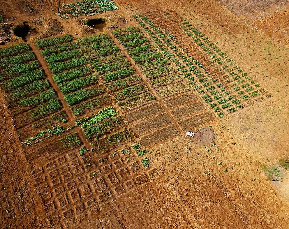 индия, гоа, аэро, aerial, Борис Резванцев