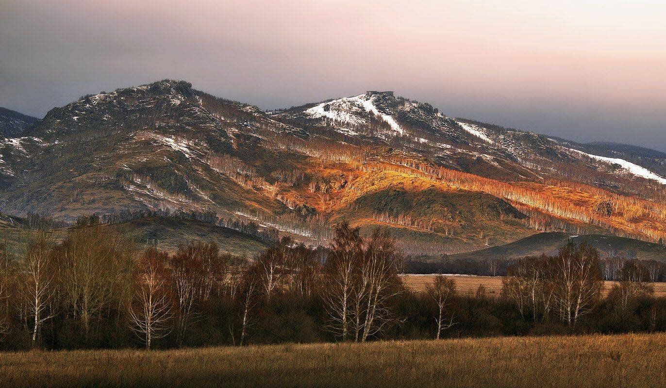, Александр Сысуев