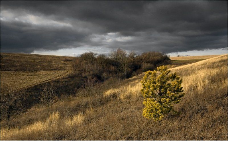 одна... фото превью