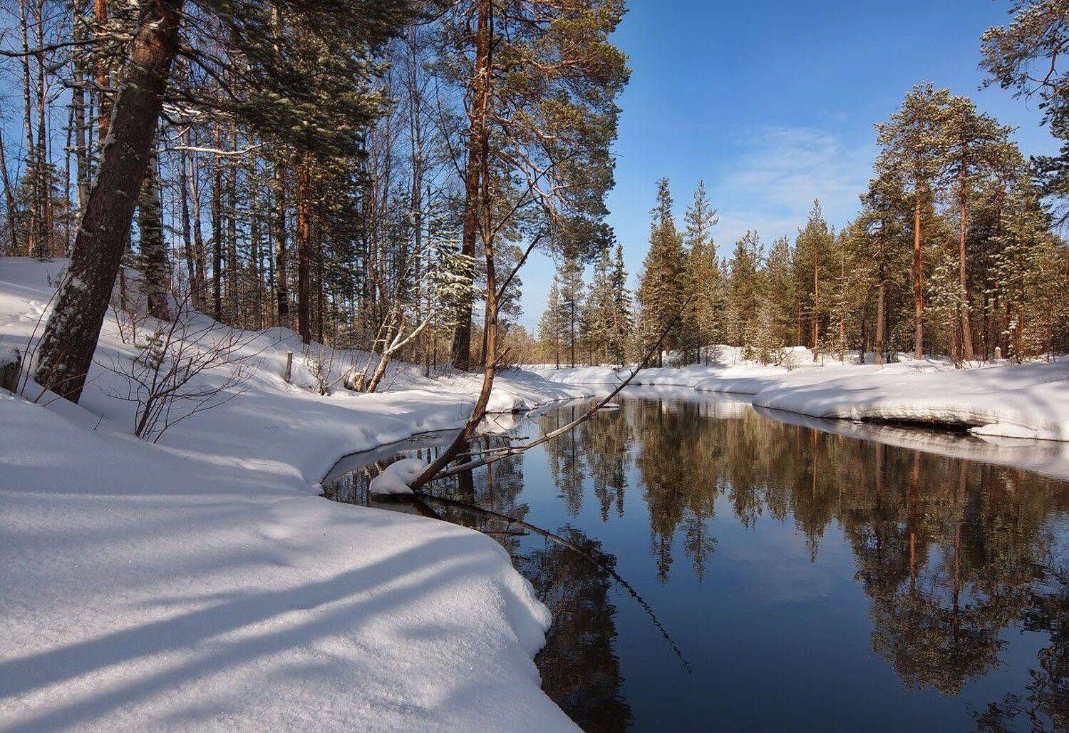 , Максим Евдокимов