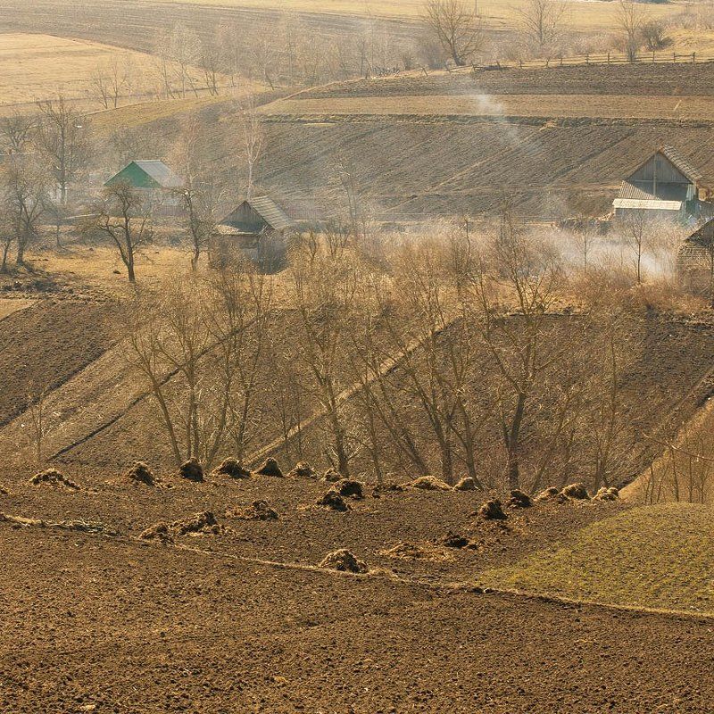 *** фото превью