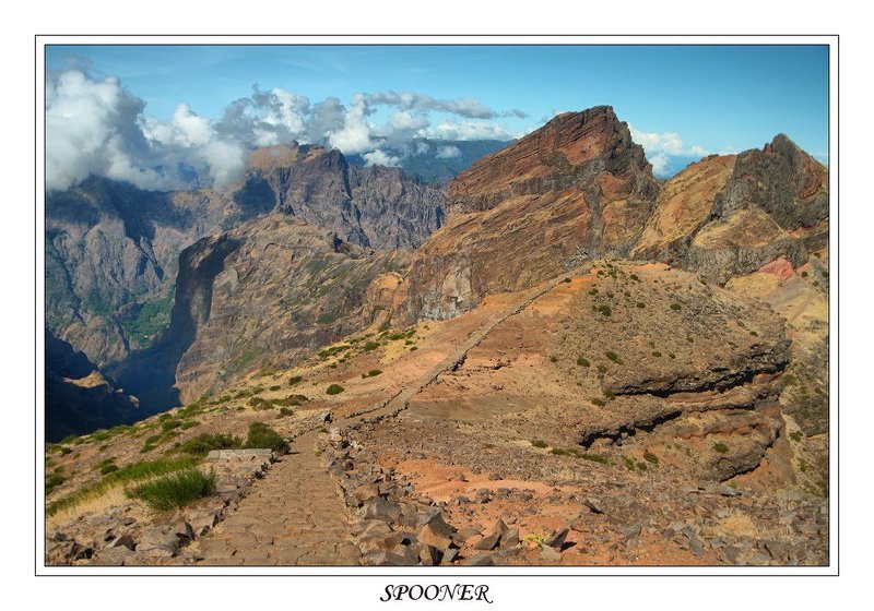 * * * фото превью