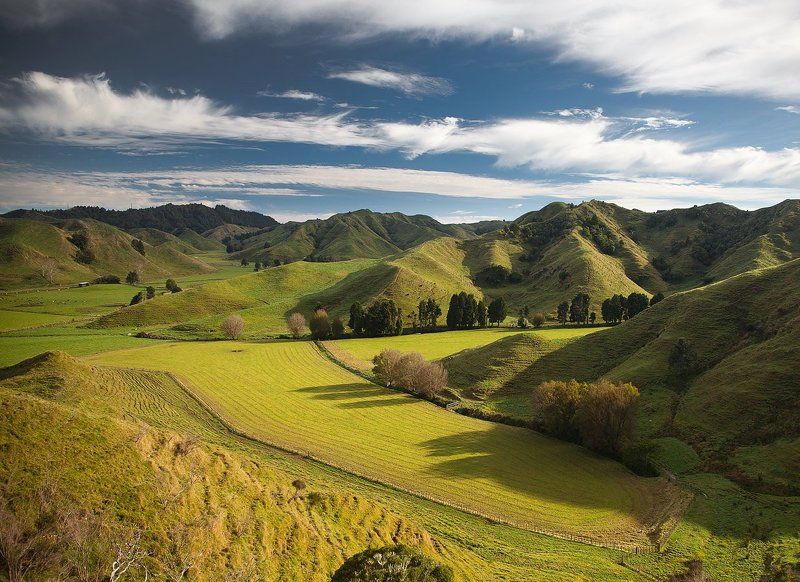 ПАСТОРАЛЬНАЯ 3ЕЛАHДИЯ... фото превью