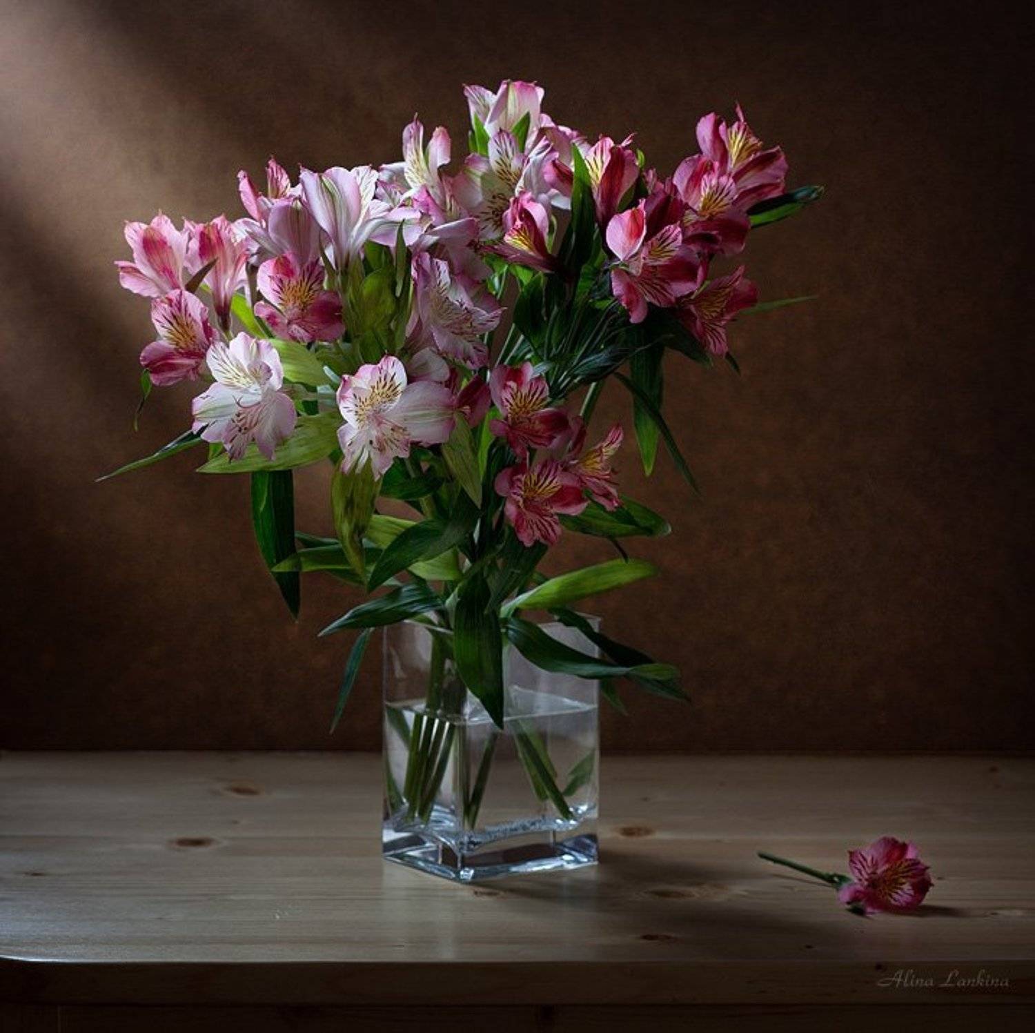 натюрморт, альстромерия, цветы, свет, букет, фотонатюрморт, still-life, Alina Lankina