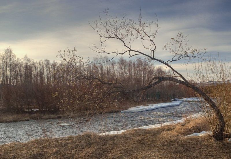 весна.  фото превью