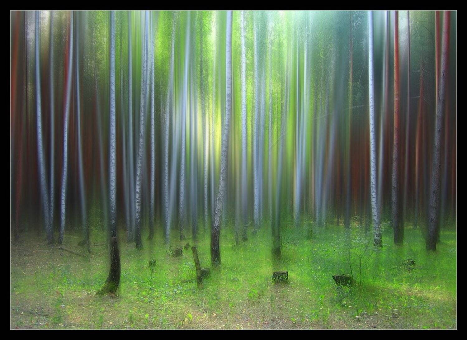 , Вадим Трунов