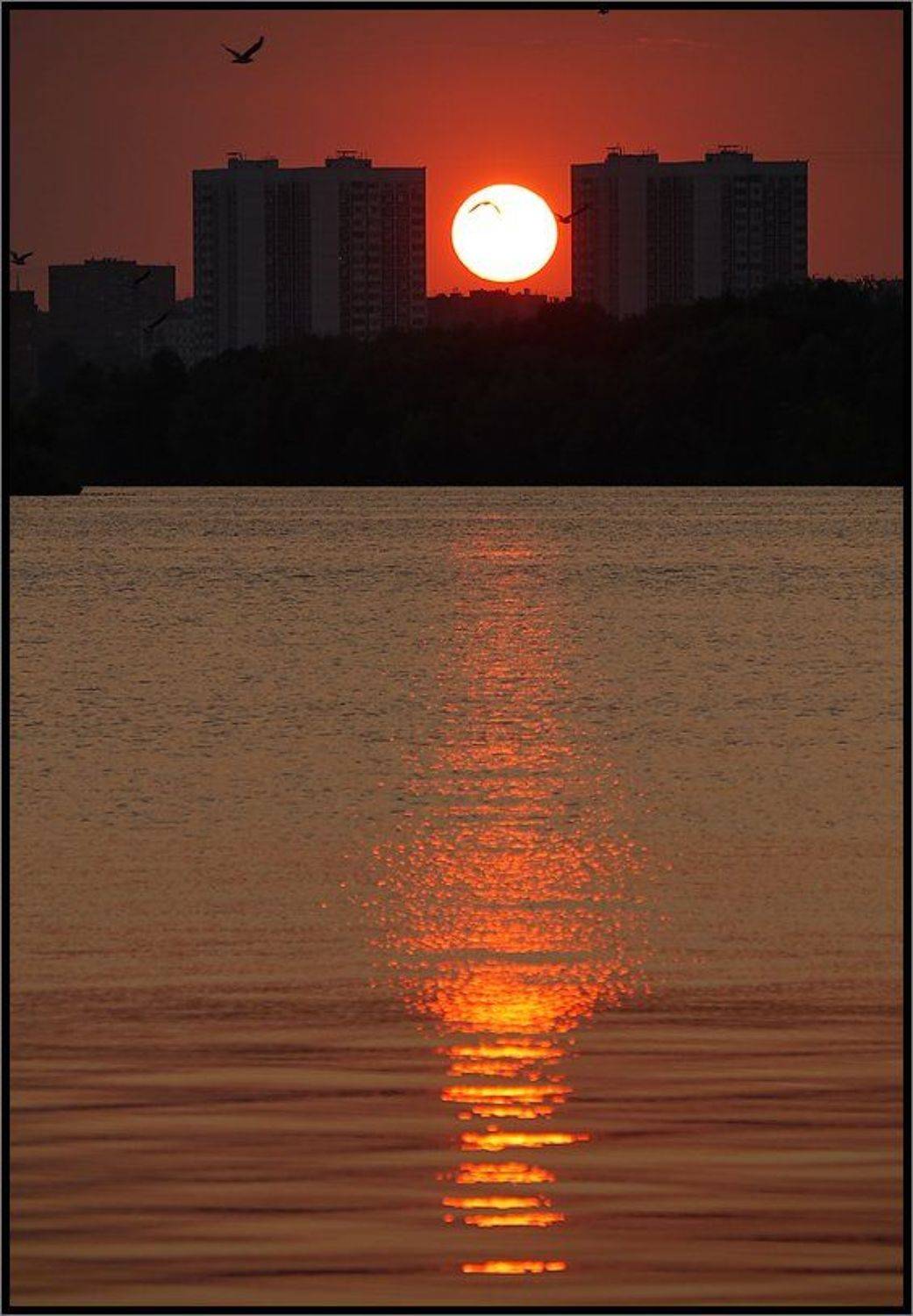 , Лунный Ежик