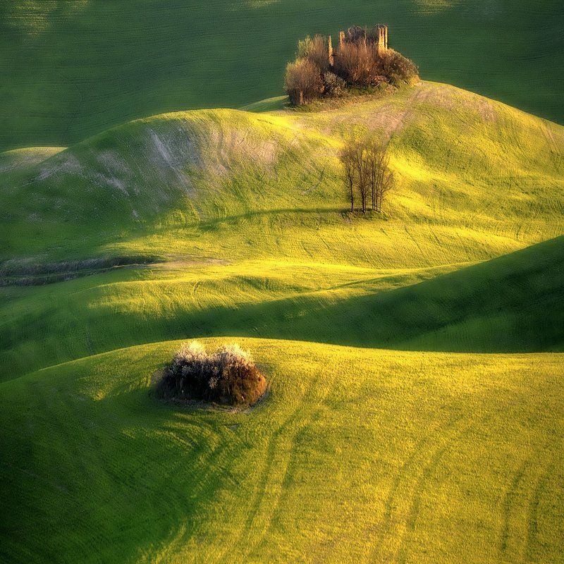 tuscany. тоскана, Floating Out On The Green Wave фото превью