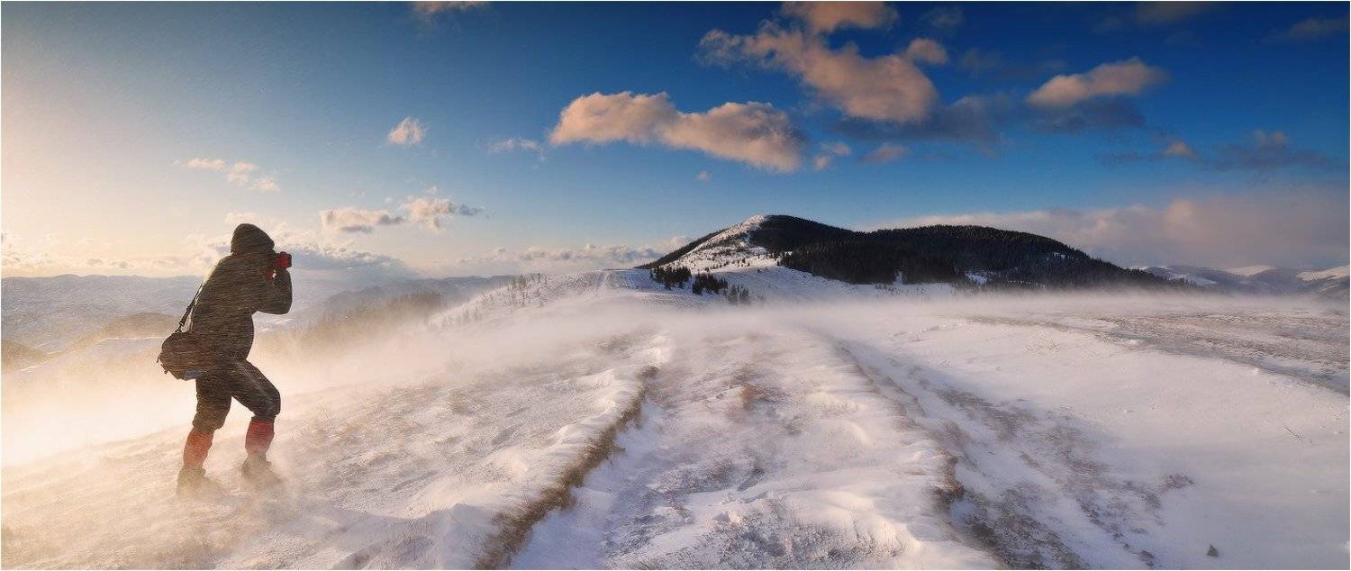 , Денис Кривой