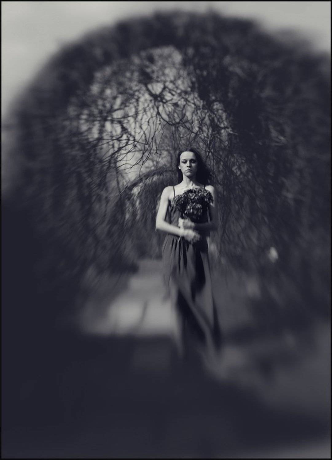 сон, ..., Александр Ростов