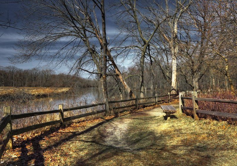 скамеечка, природа, путешествия, день, весна, река, деревья, сша скамеечка 2 фото превью