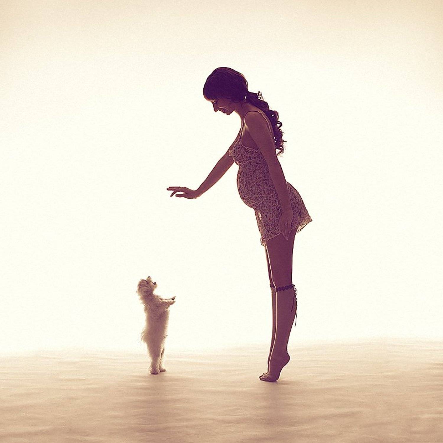 беременность, собака, свет, игра, Владимир Зотов