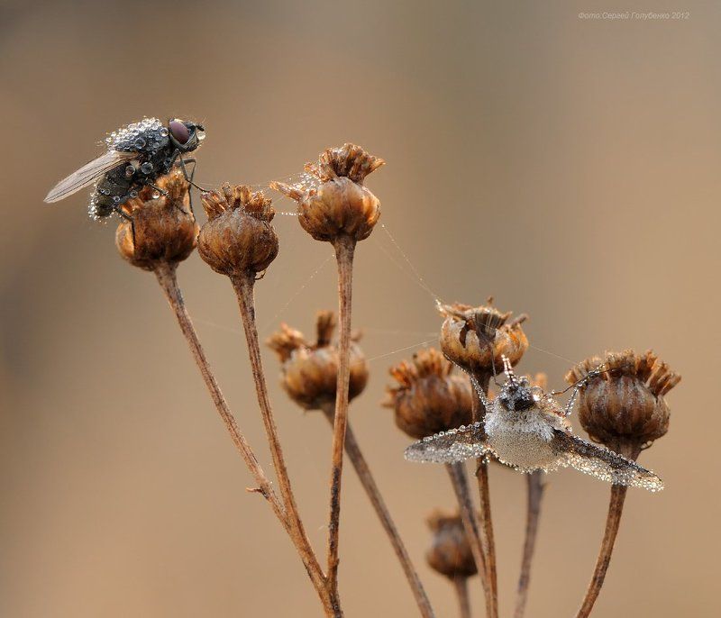 Тонкая связь фото превью