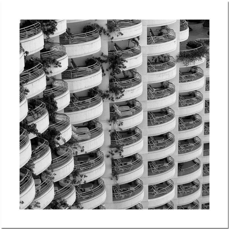 Человечий улей фото превью