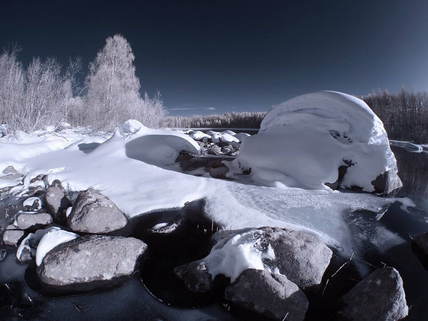 , Максим Евдокимов