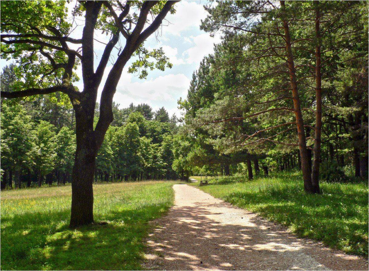 июль, КарОл