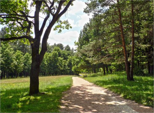 Была жара...