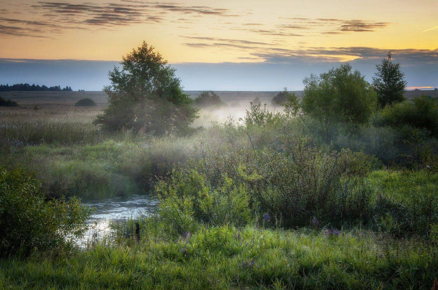 туман,рассвет,лето,природа,пейзаж, Павел Ныриков