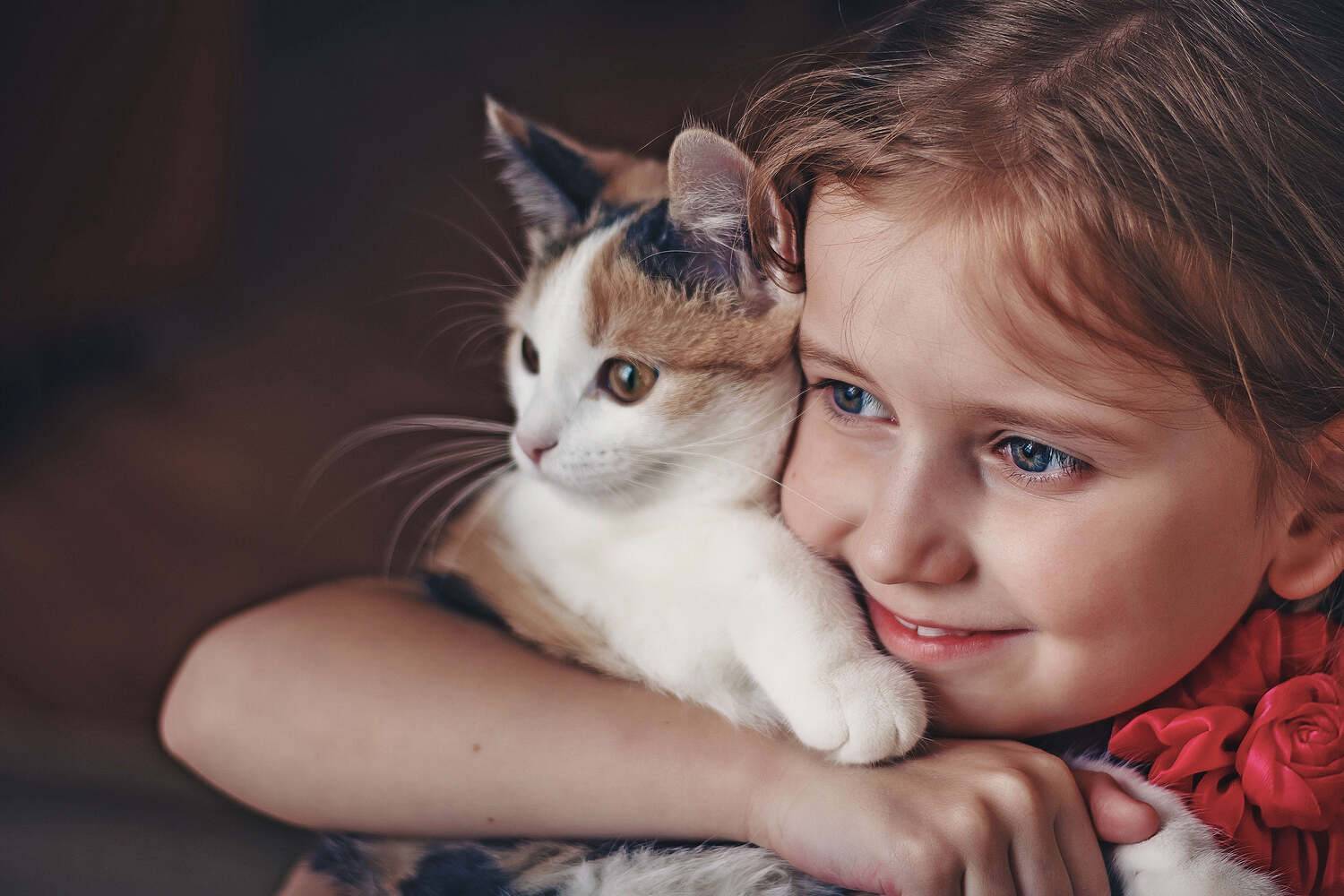 девочка, кошка, фотосессия, неразлучные друзья, Владимир Васильев