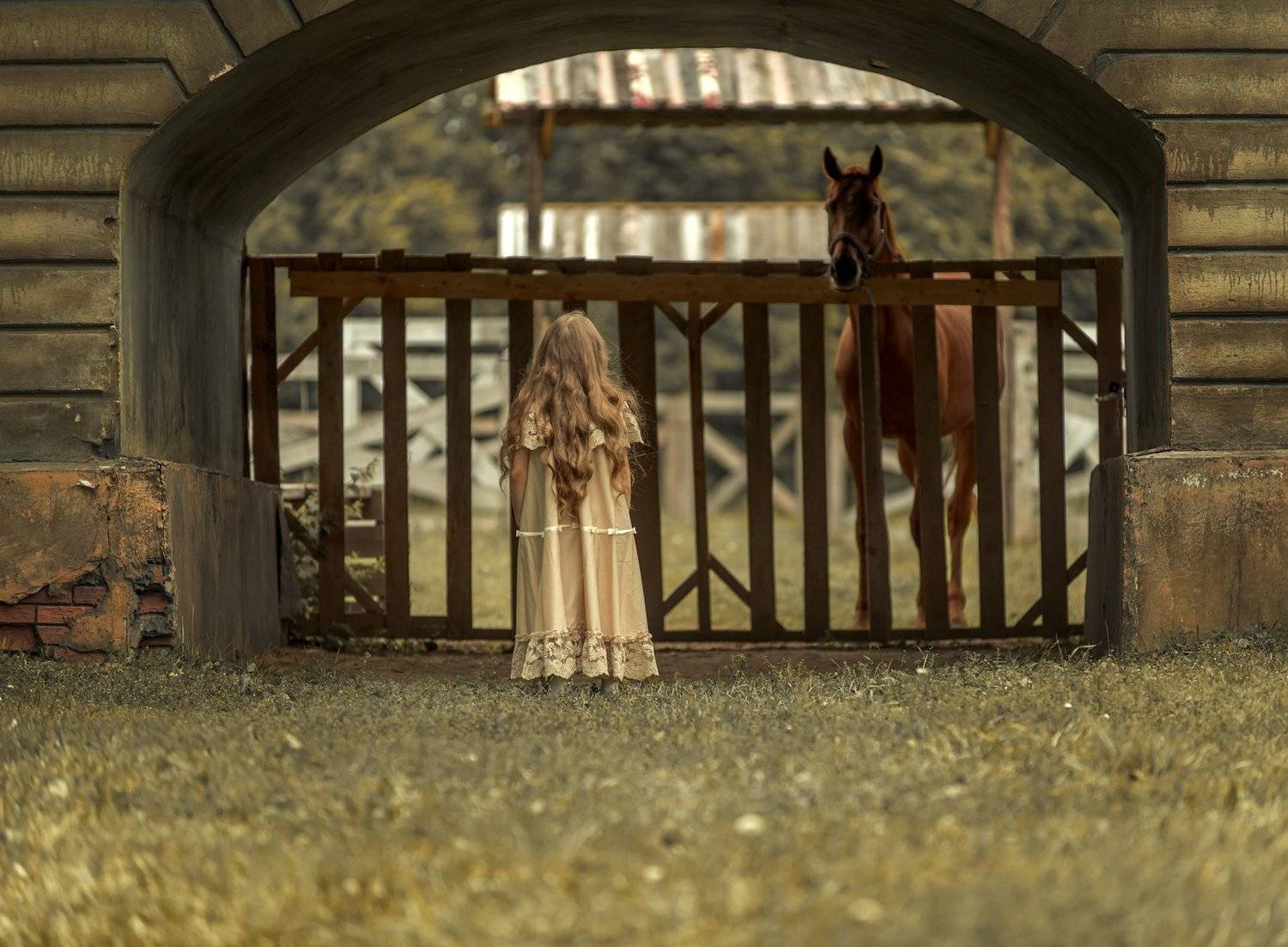 , Владимир Никитин