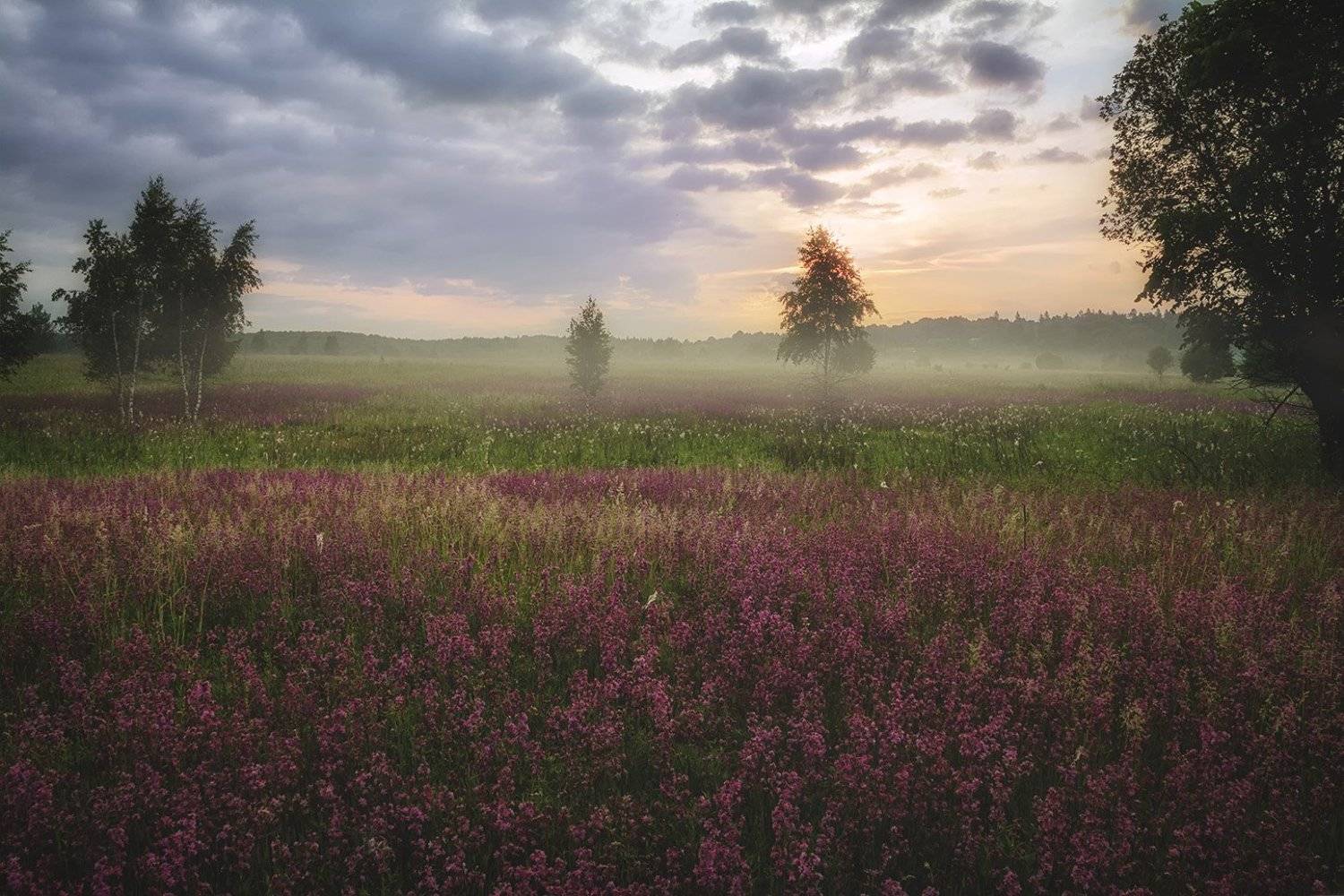 , Анатолий Зверев