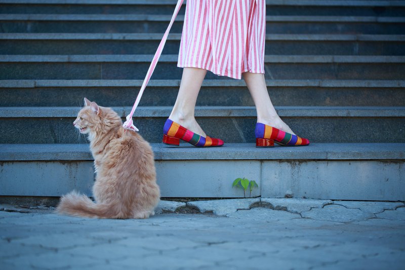 фото превью