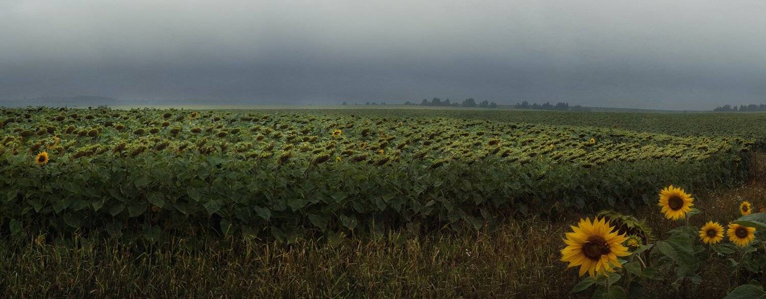 , Баранов Олег