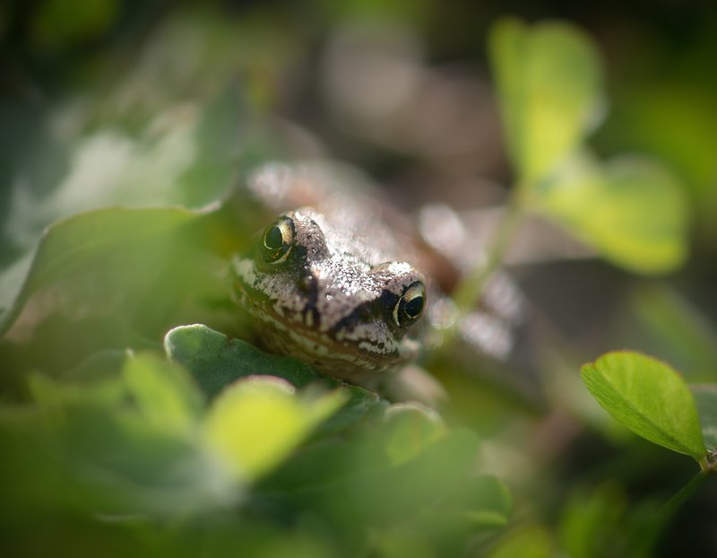 Привет! фото превью