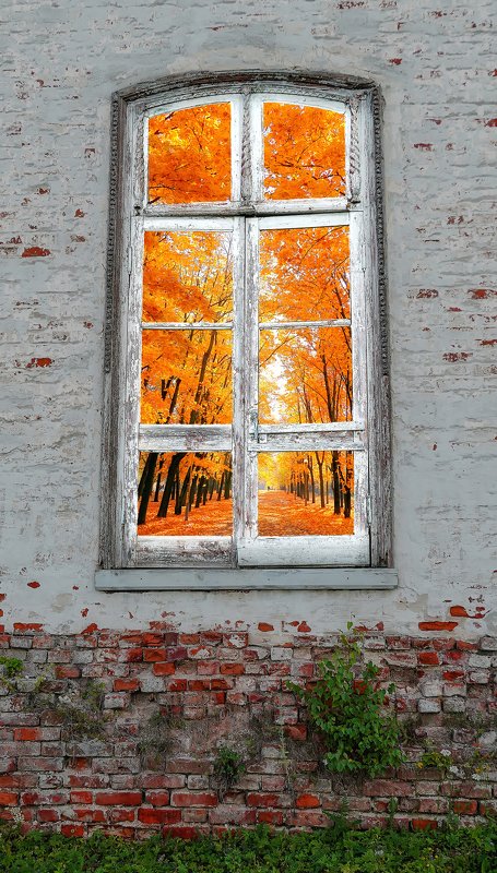 мгу Скоро осень... фото превью