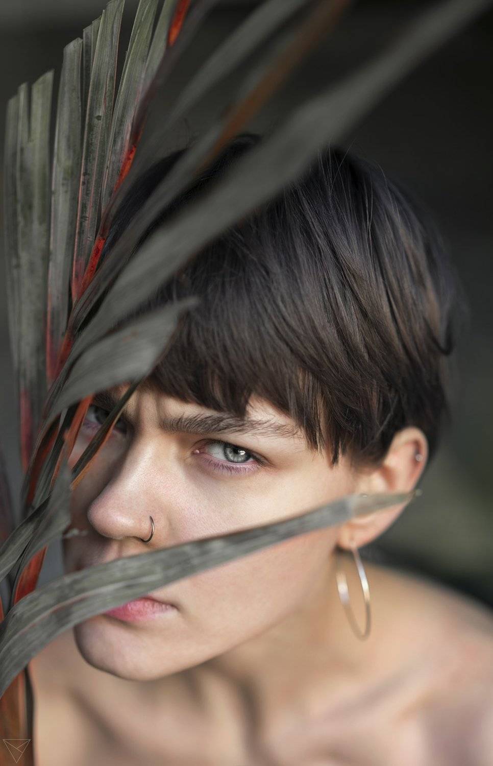 Женский портрет, портрет, природа, portrait, women, красивый портрет, взгляд, пальма, Дмитрий Александров