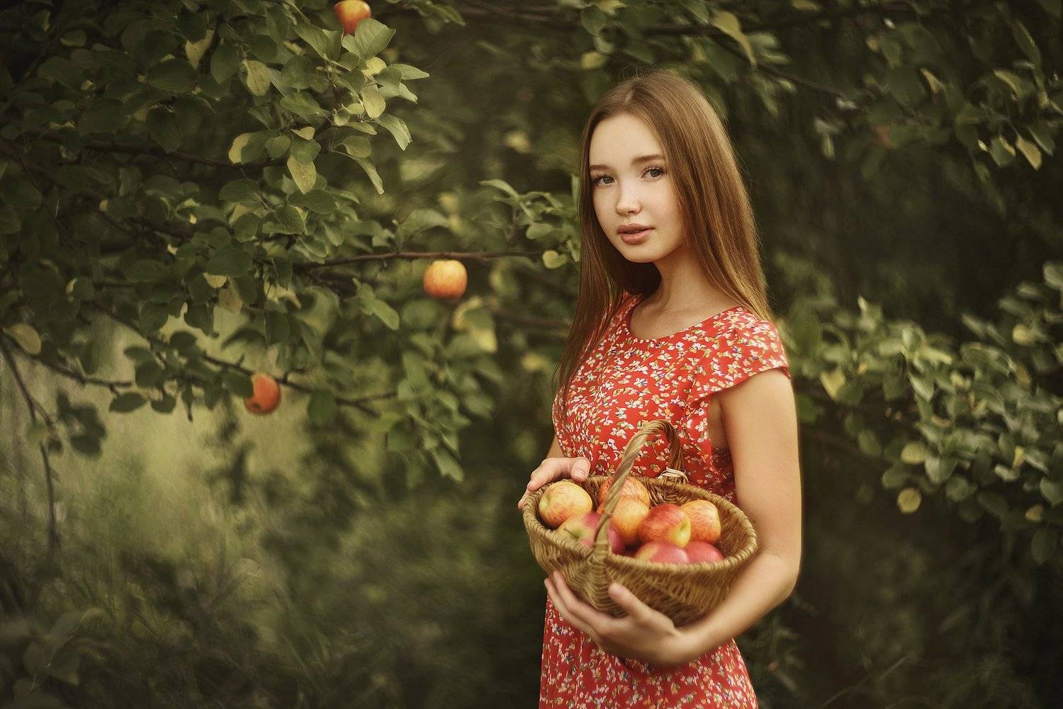 , Владислав Оплетаев