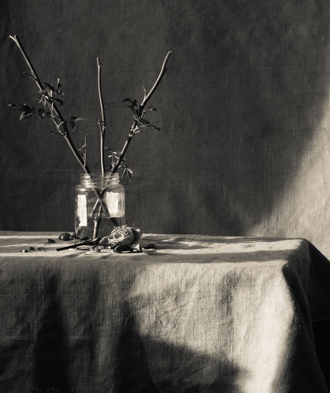 фотография художественная фотография черно-белая фотография ... фото превью