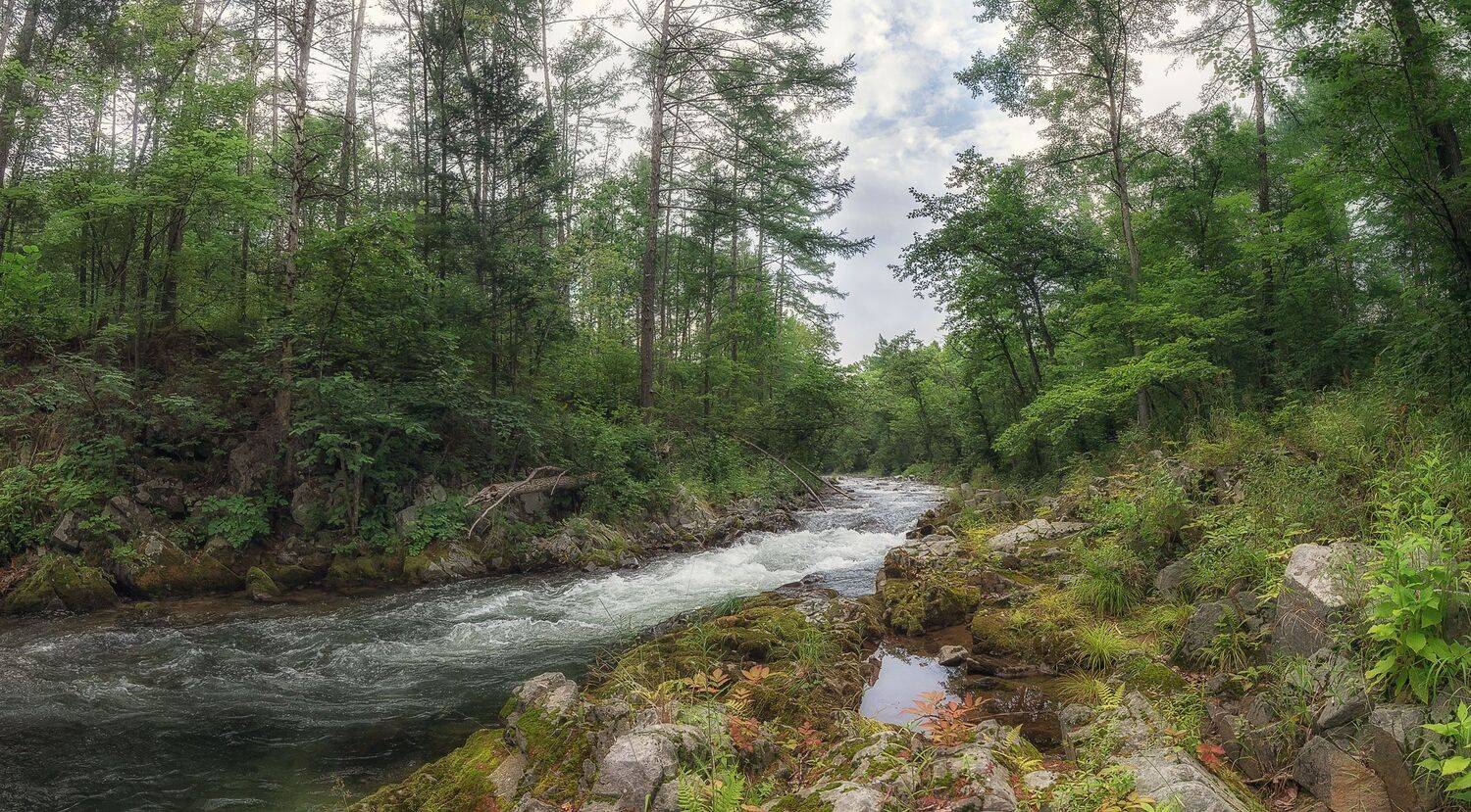 , Шинкарева Елена