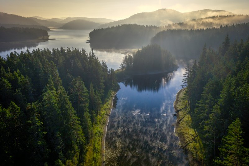 In The Morning фото превью