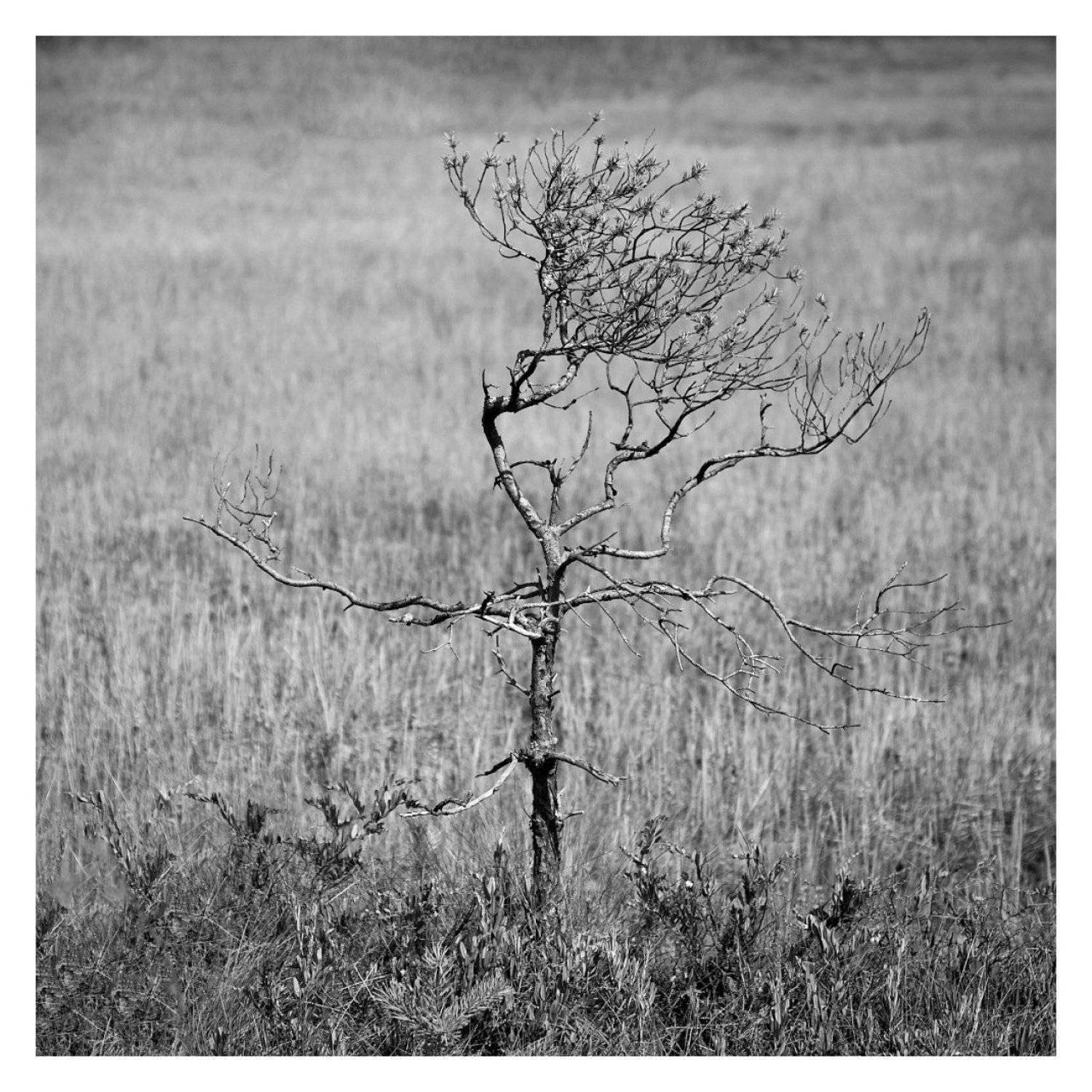 на все времена, Алёна Таланова