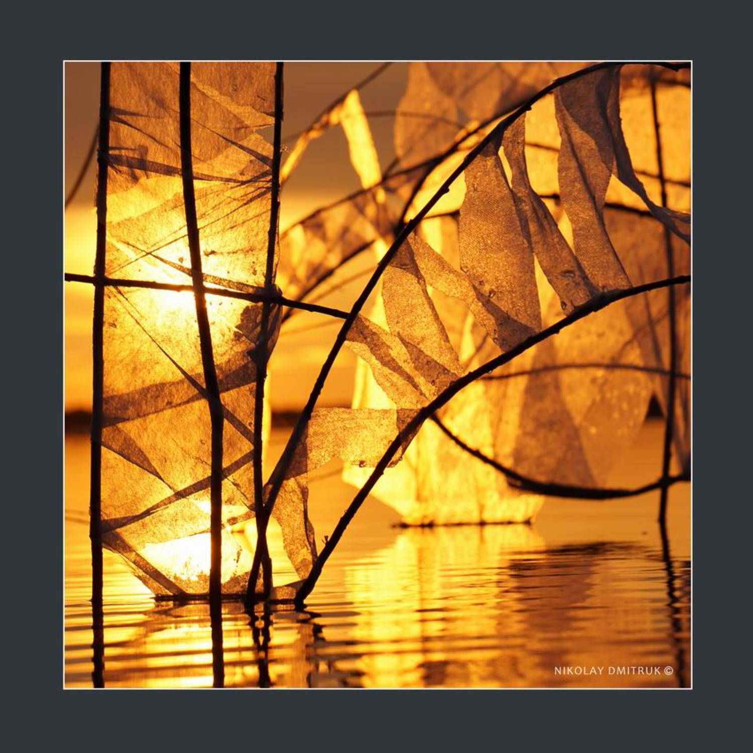 абстракция, николай дмитрук