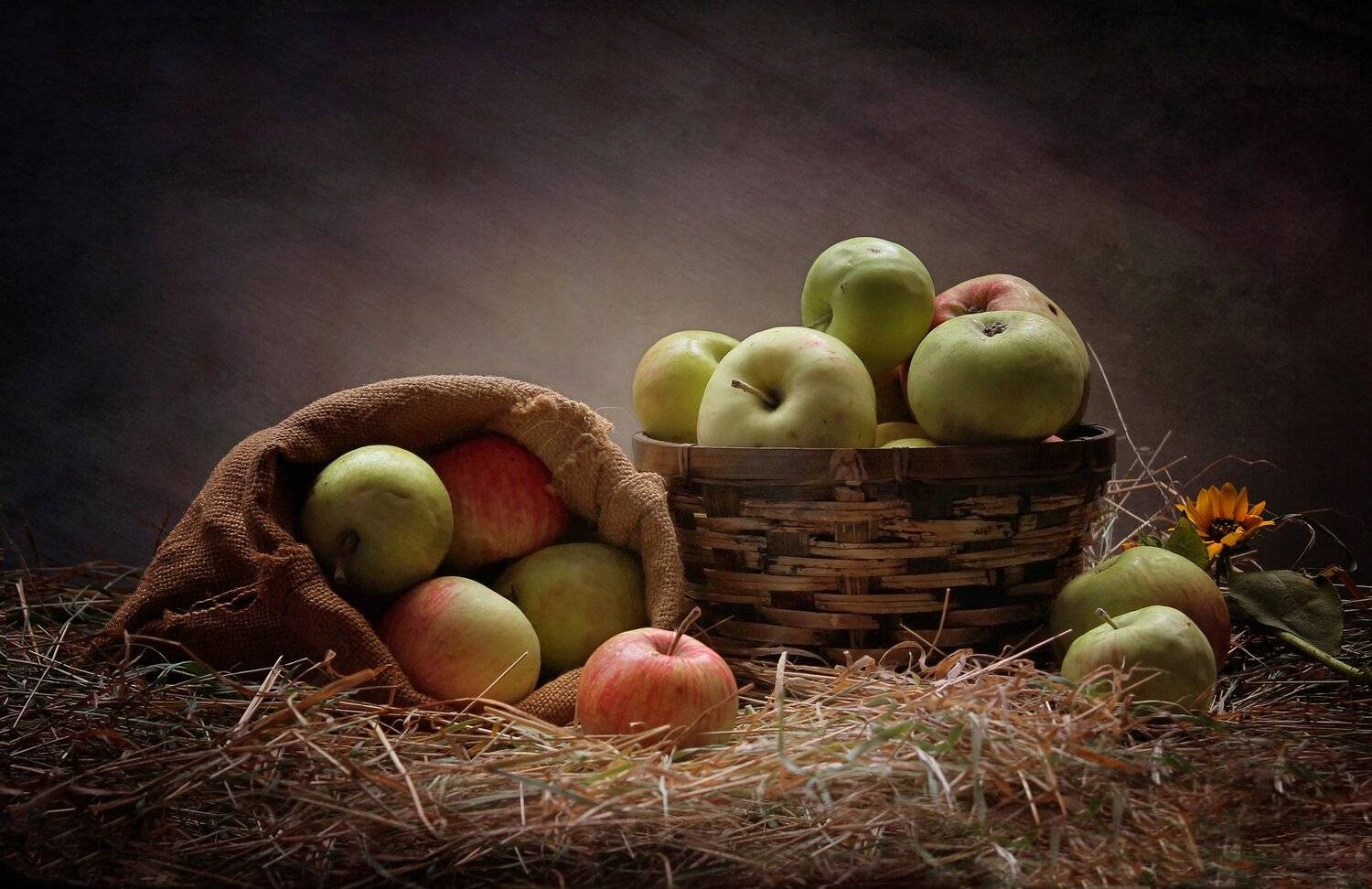 натюрморт, лето. август, яблоки, корзина, яблочный спас, Ковалева Светлана